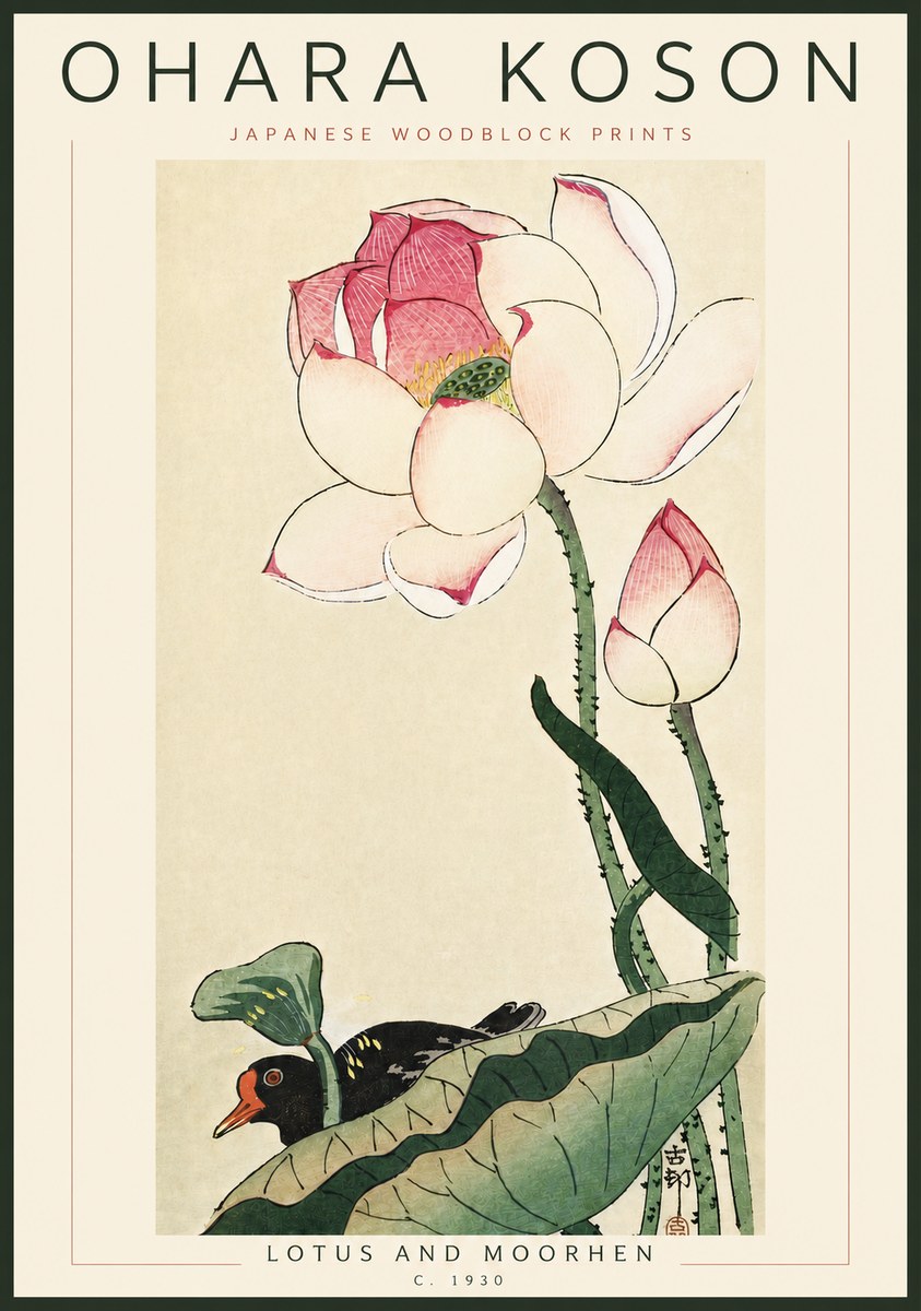 Ohara Koson Lotus and Moorhen No6 - Plakát