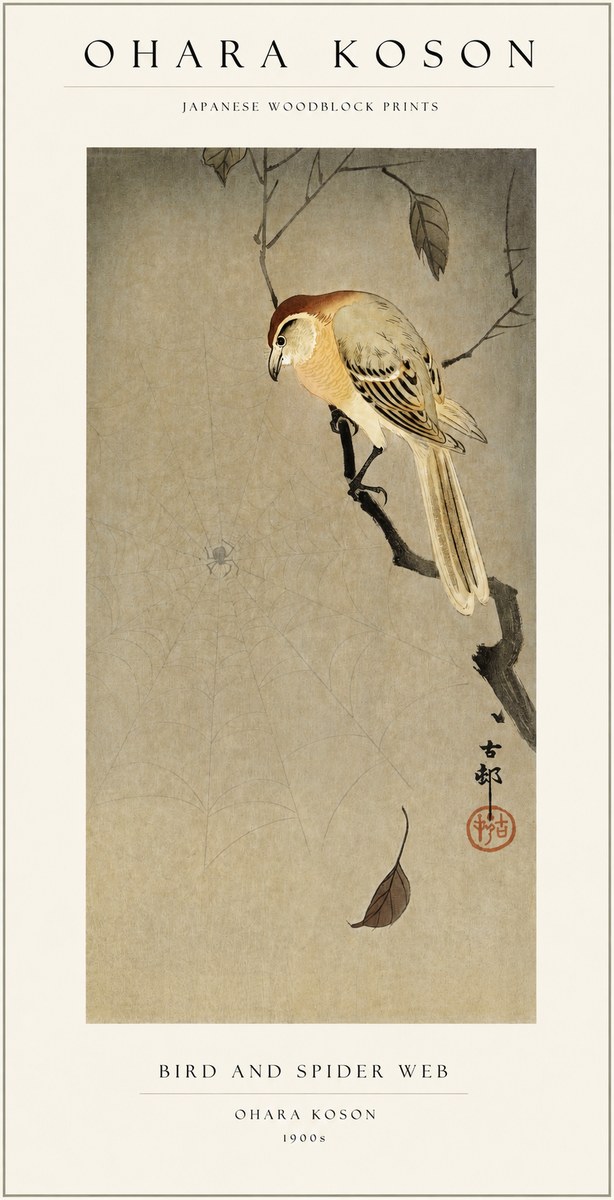 Ohara Koson Bird and Spider Web I No1 - Plakát