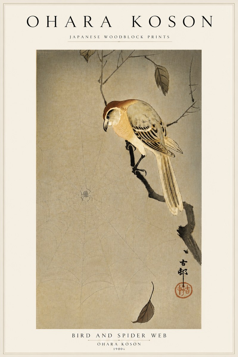 Ohara Koson Bird and Spider Web I No5 - Plakát