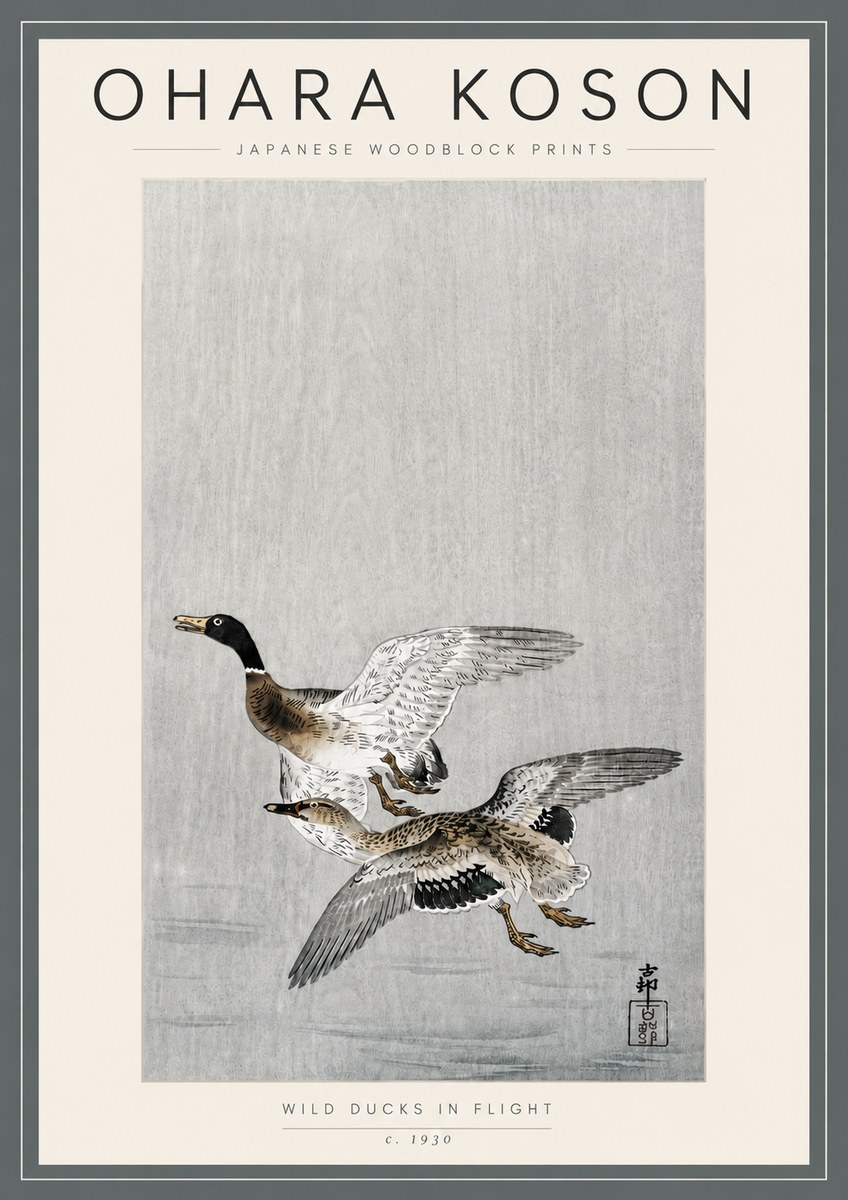 Ohara Koson Wild Ducks in Flight No5 - Plakát