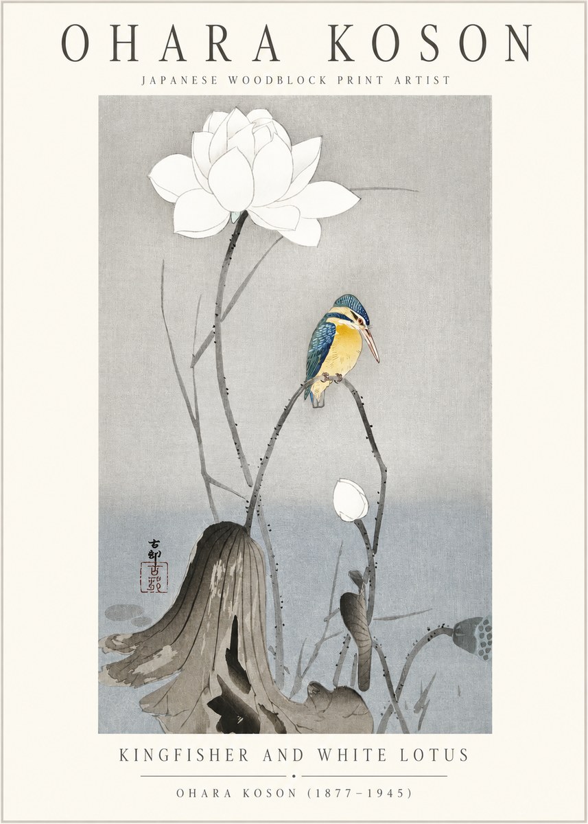 Ohara Koson Kingfisher and White Lotus No1 - Plakát