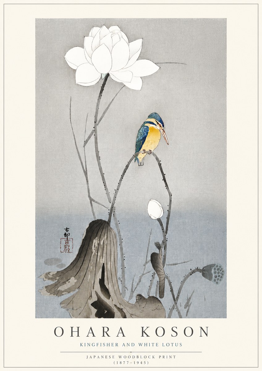 Ohara Koson Kingfisher and White Lotus No3 - Plakát