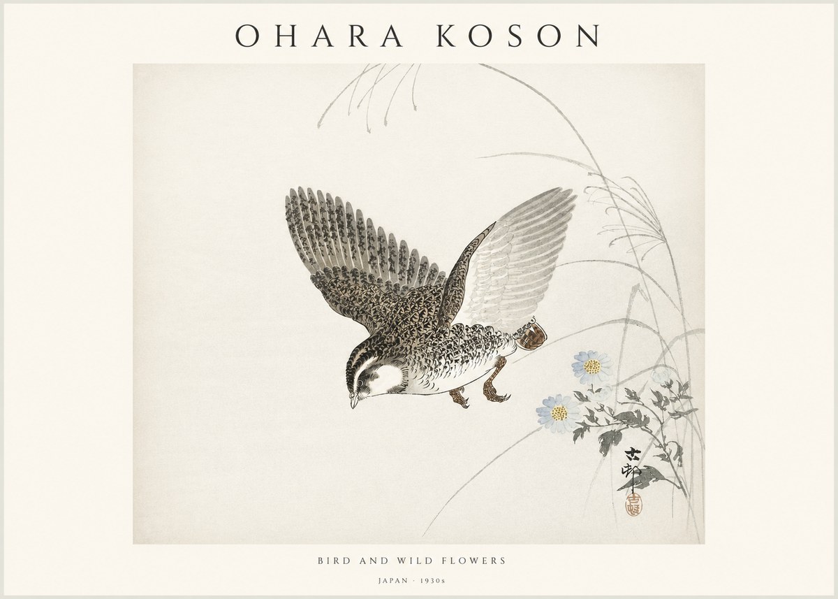 Ohara Koson Bird and Wild Flowers No1 - Plakát