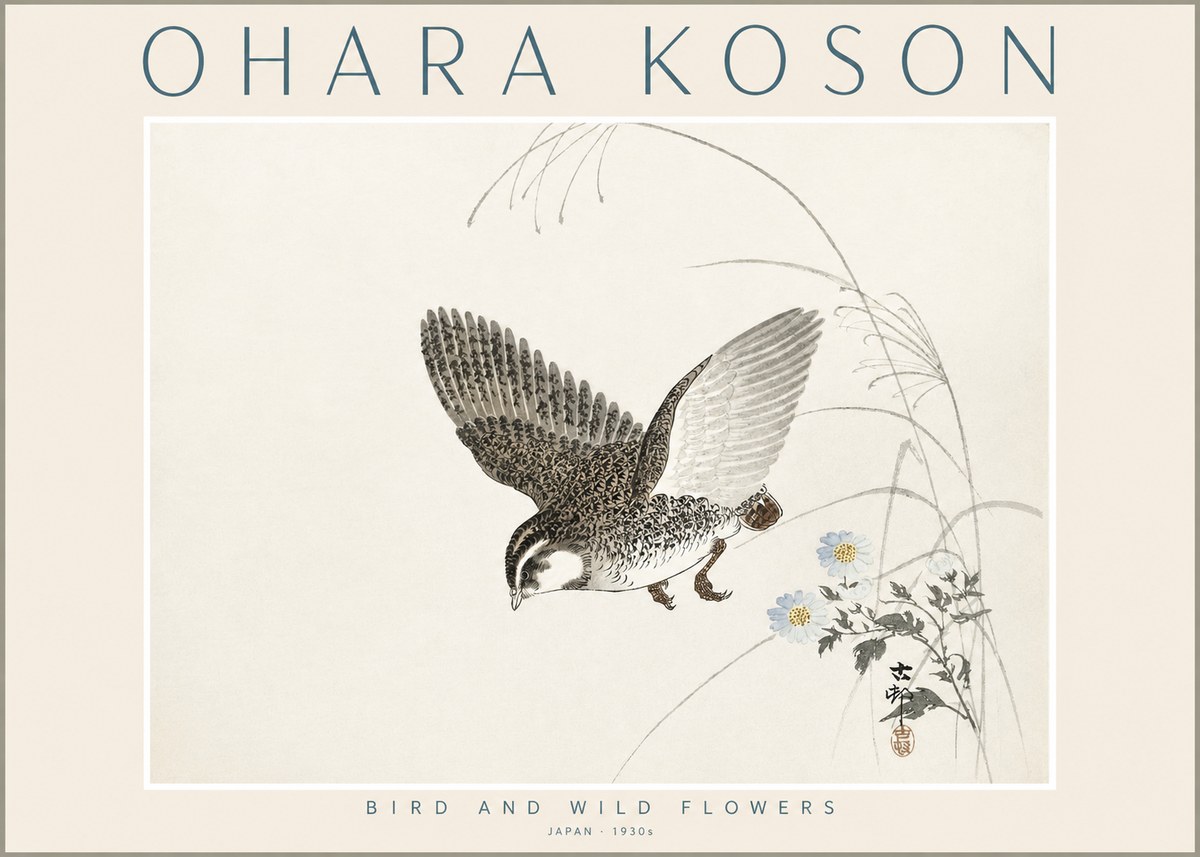 Ohara Koson Bird and Wild Flowers No2 - Plakát