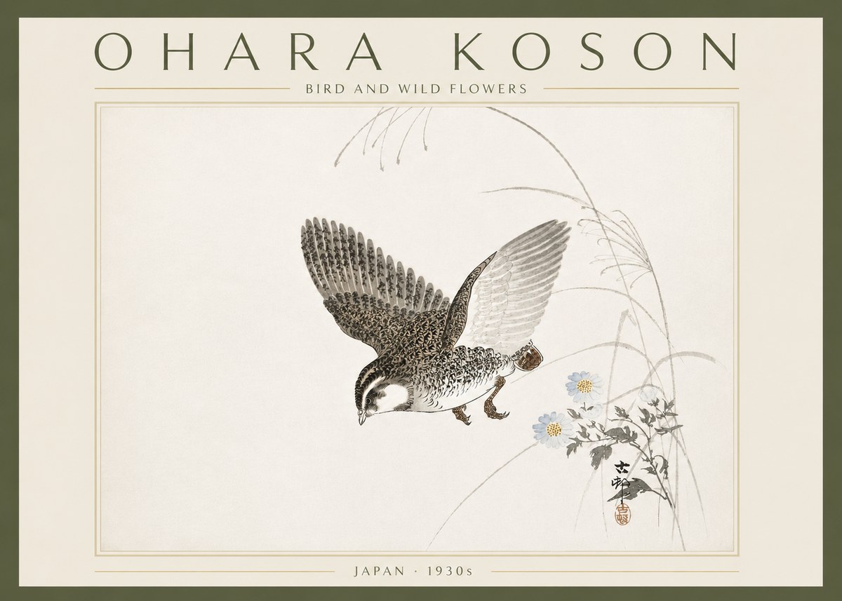Ohara Koson Bird and Wild Flowers No6 - Plakát