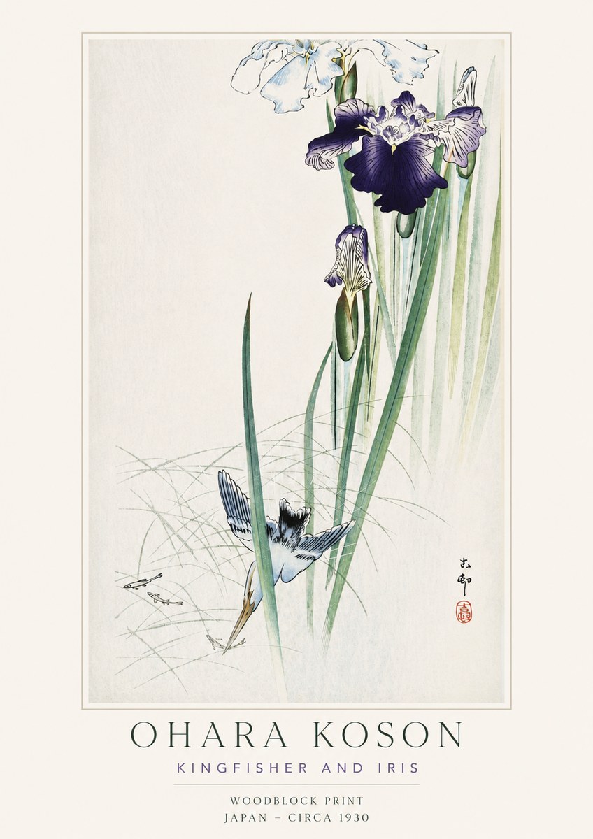 Ohara Koson Kingfisher and Iris No3 - Plakát