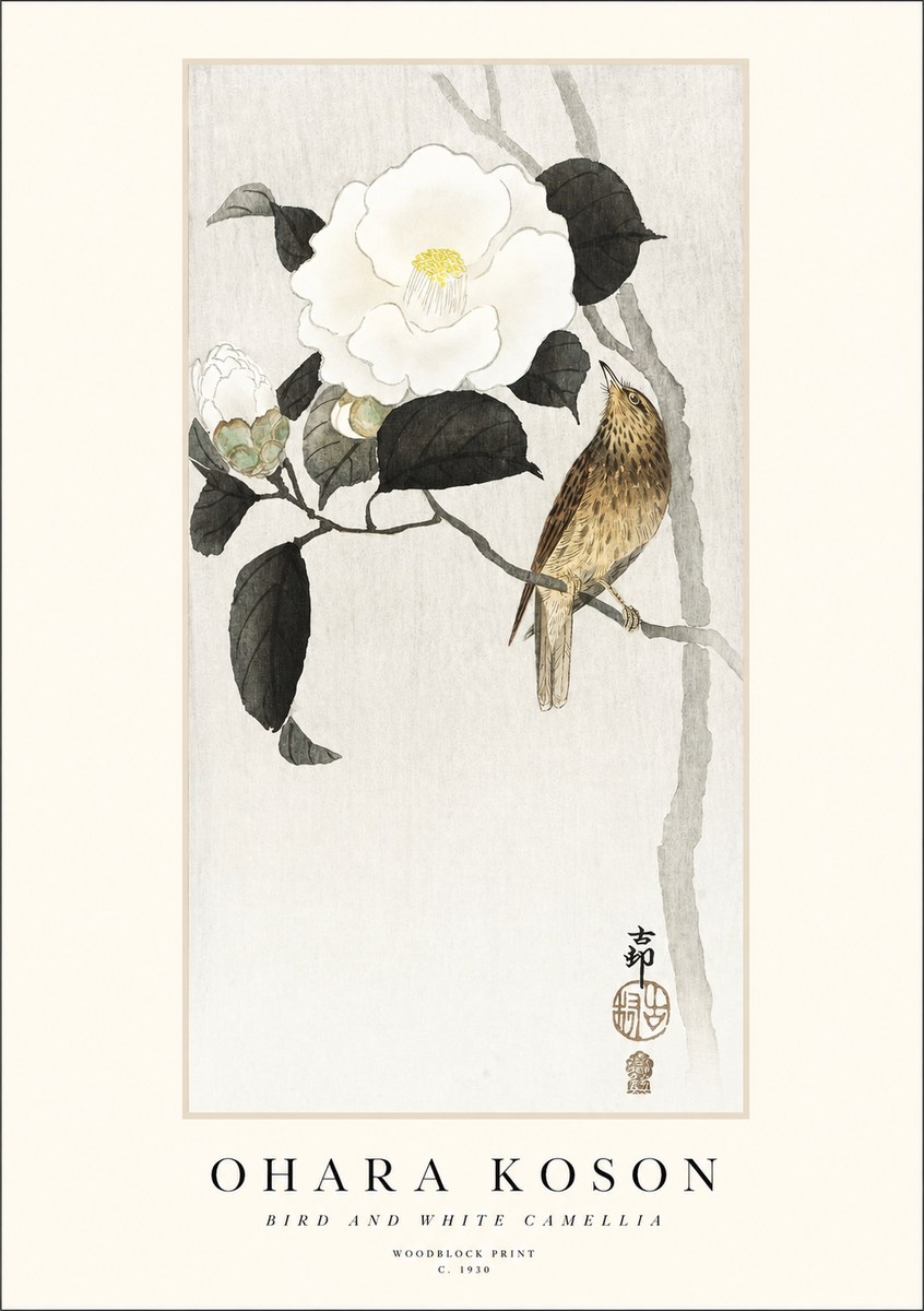 Ohara Koson Bird and White Camellia No1 - Plakát