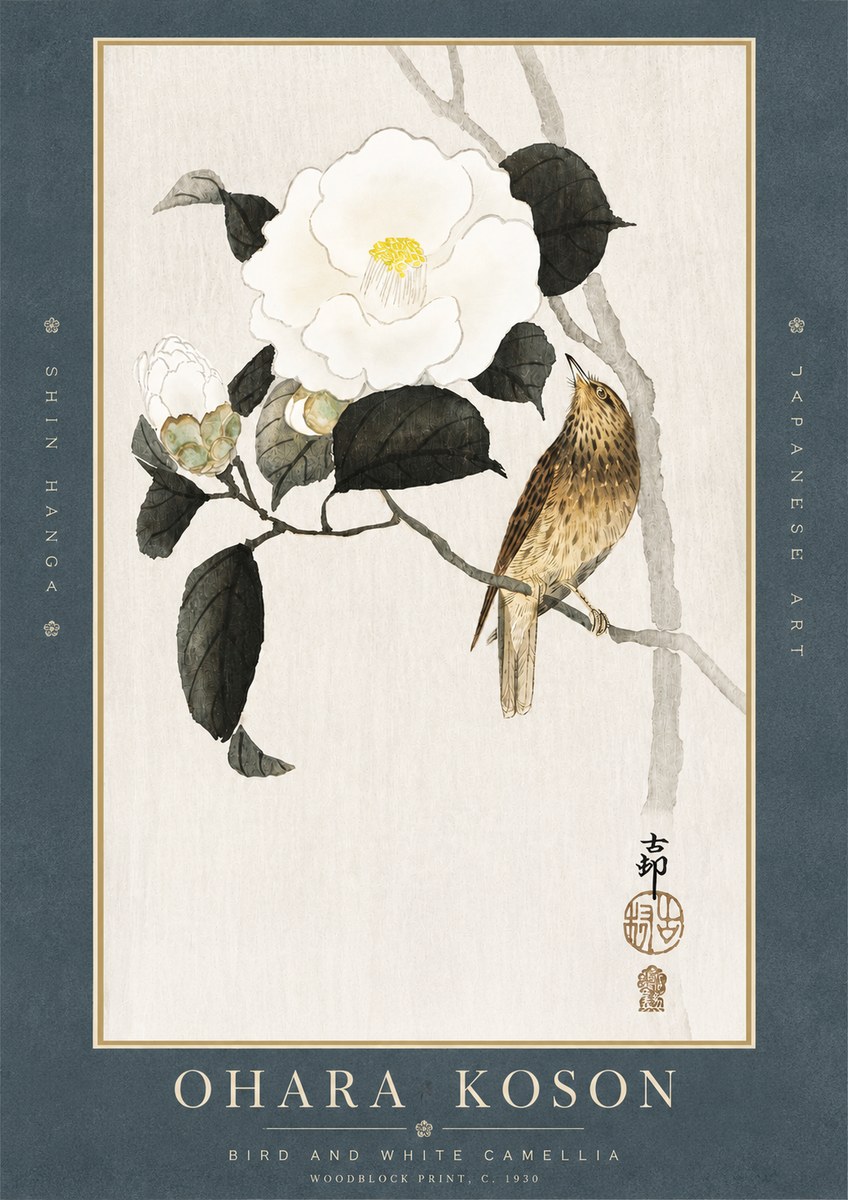 Ohara Koson Bird and White Camellia No3 - Plakát