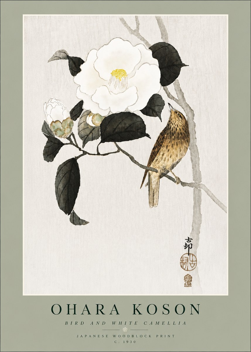Ohara Koson Bird and White Camellia No4 - Plakát