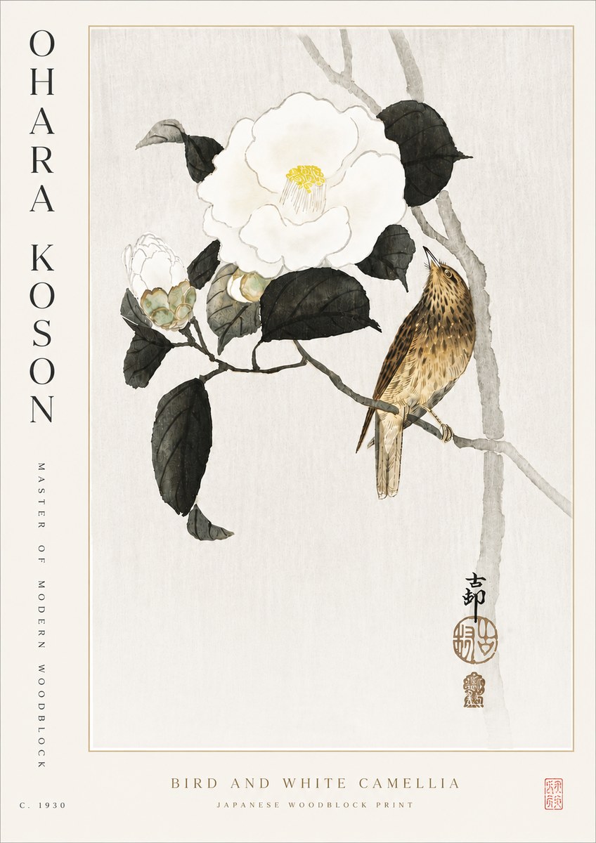 Ohara Koson Bird and White Camellia No5 - Plakát