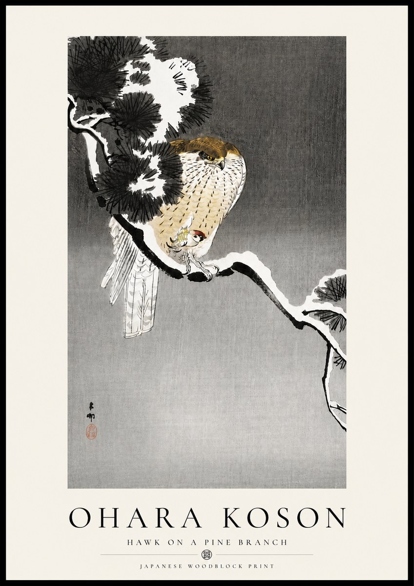 Ohara Koson Hawk on a Pine Branch No4 - Plakát