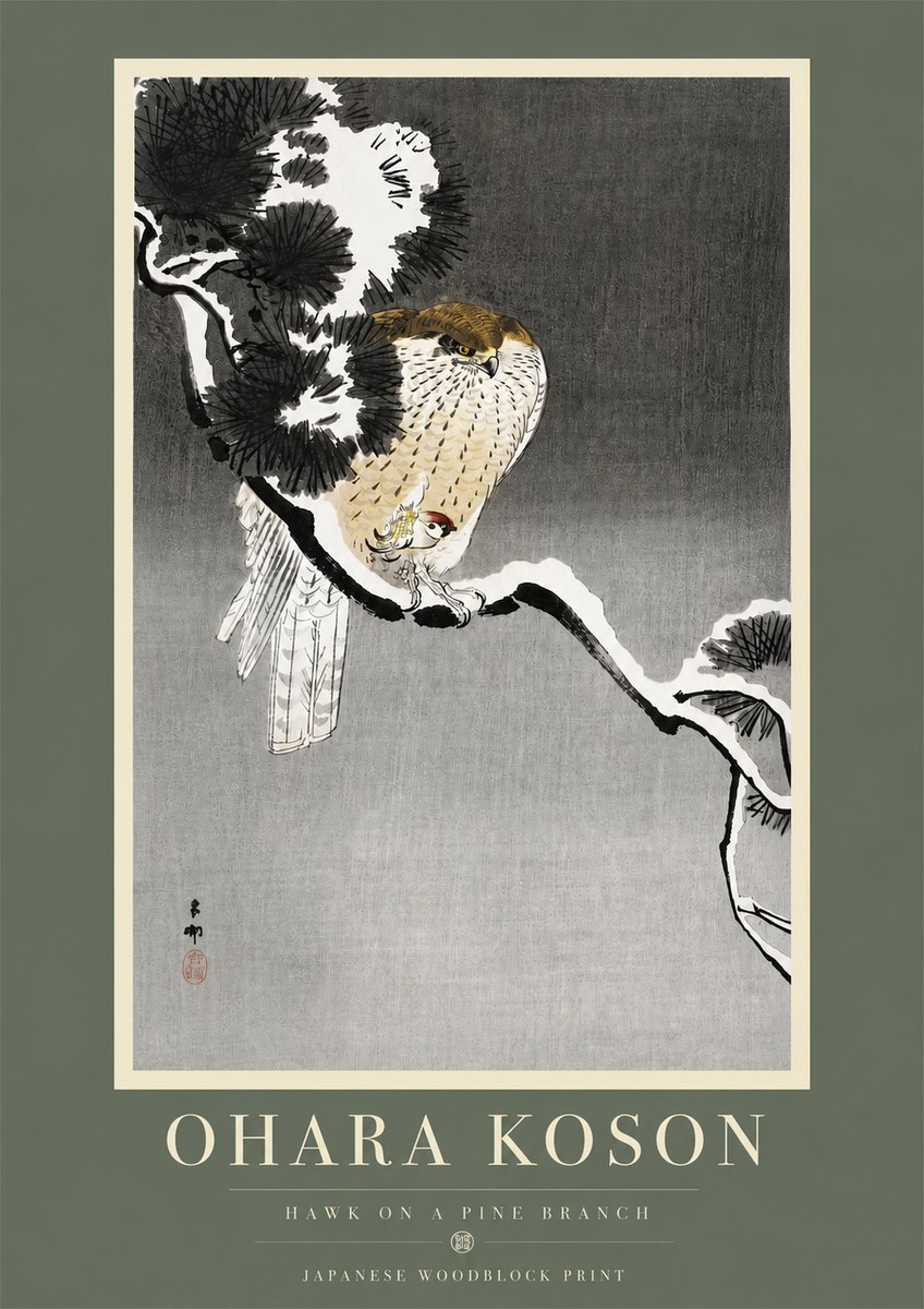 Ohara Koson Hawk on a Pine Branch No5 - Plakát