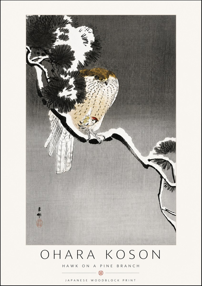 Ohara Koson Hawk on a Pine Branch No6 - Plakát