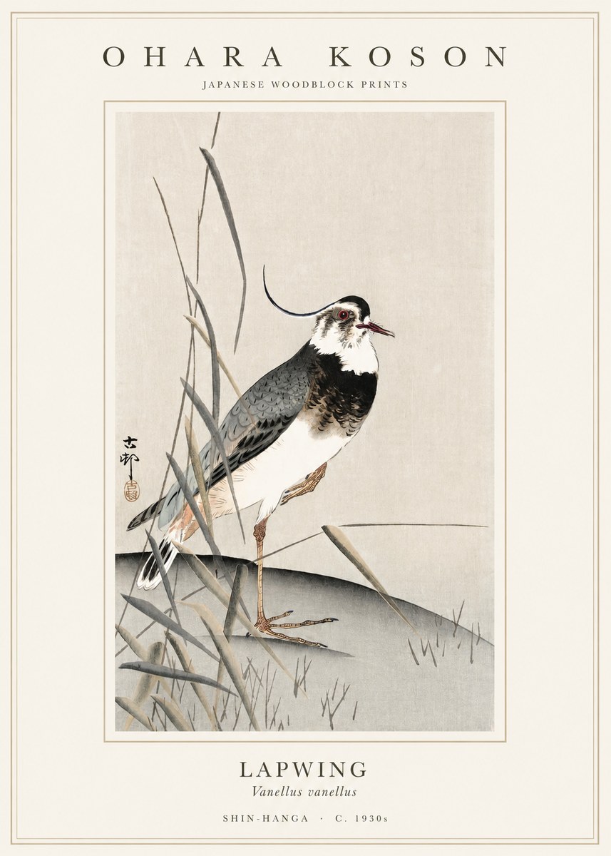 Ohara Koson Lapwing No1 - Plakát