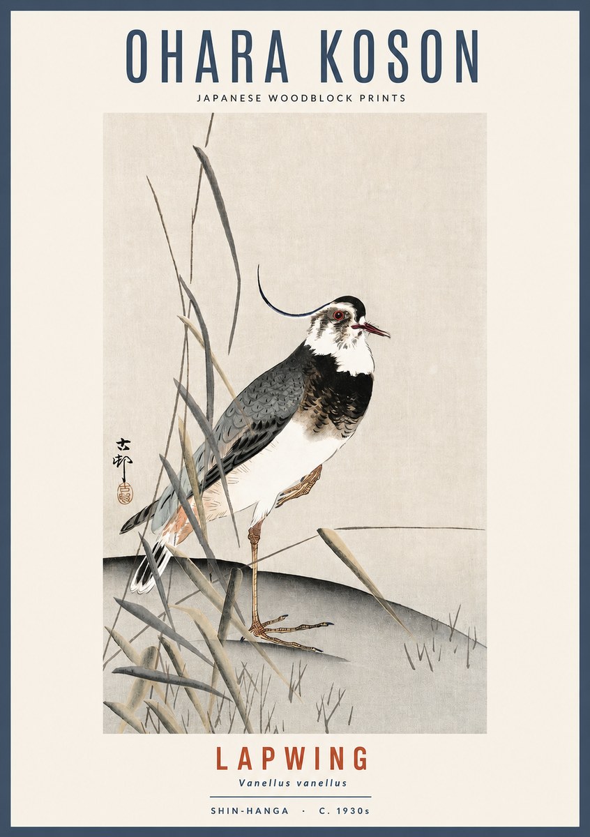 Ohara Koson Lapwing No2 - Plakát