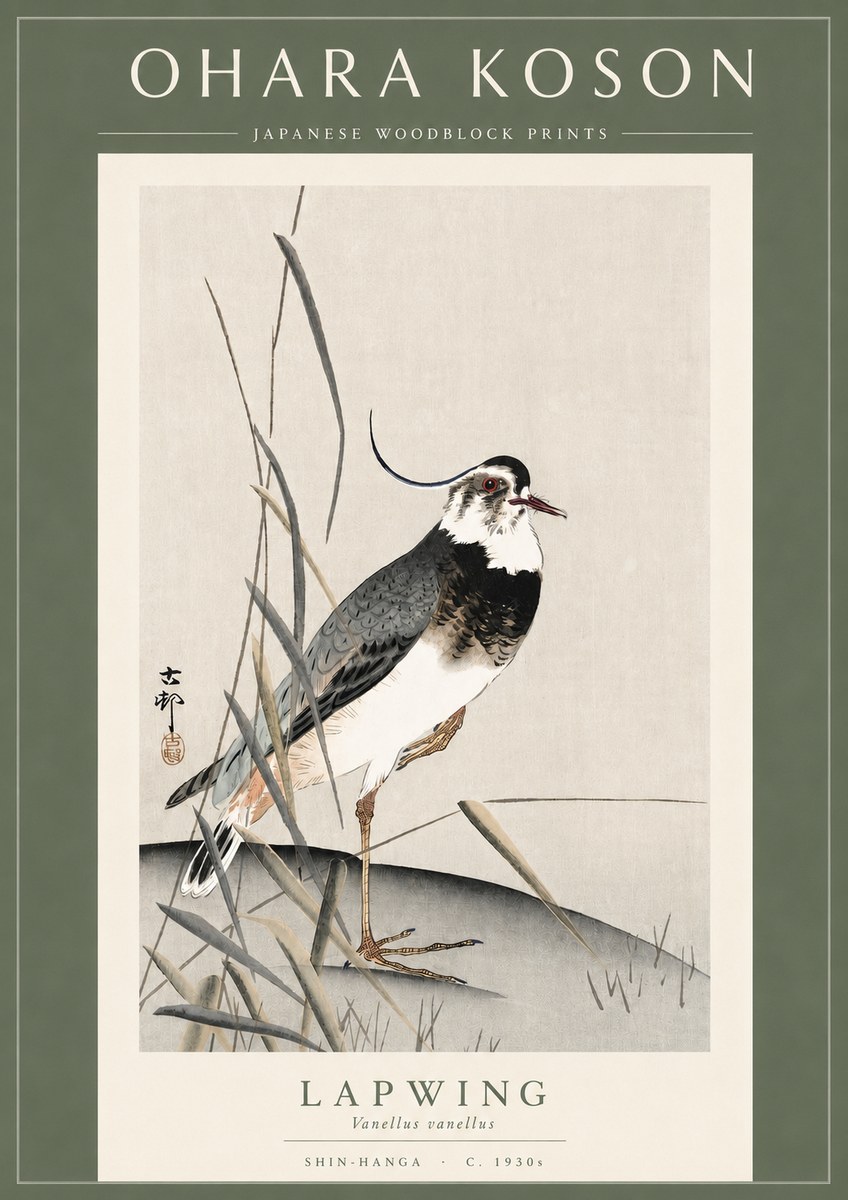 Ohara Koson Lapwing No3 - Plakát