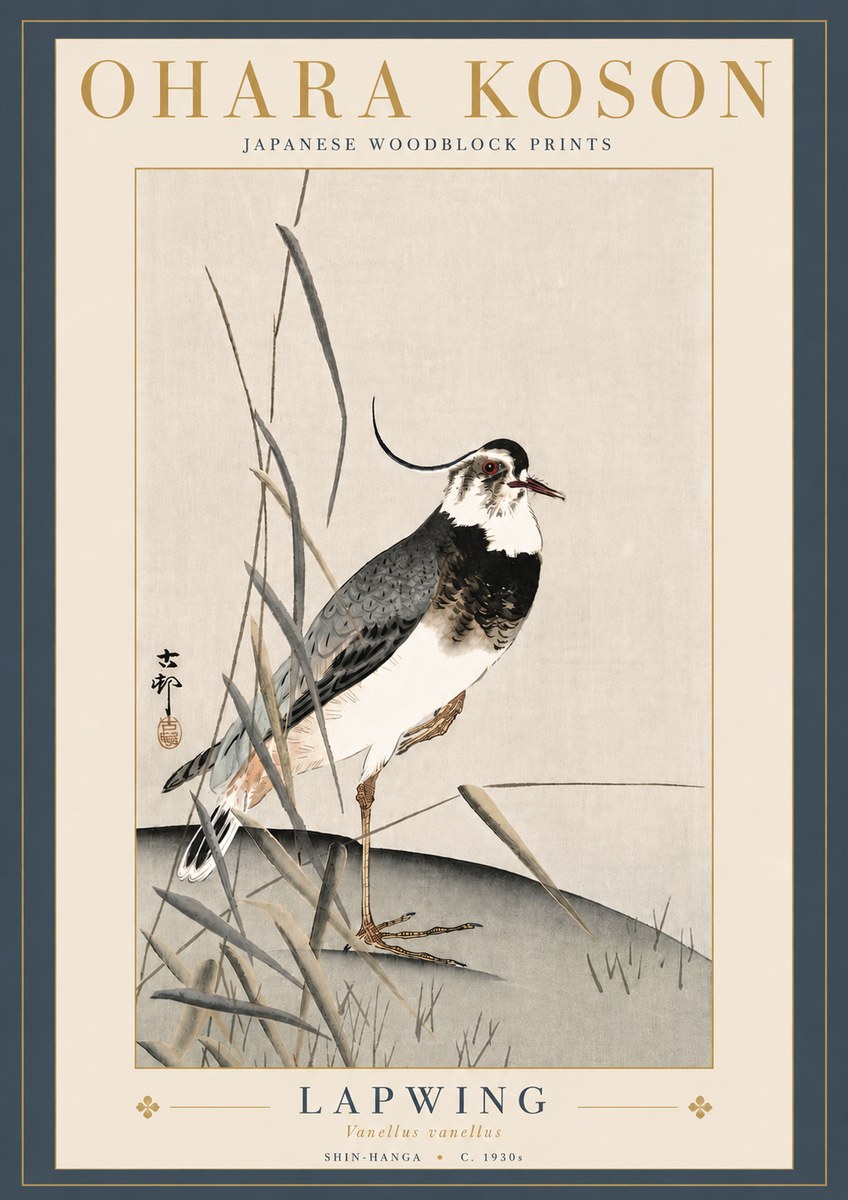 Ohara Koson Lapwing No5 - Plakát