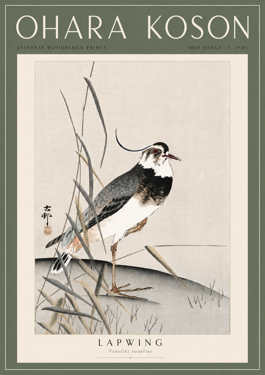 Ohara Koson Lapwing No6 - Plakát