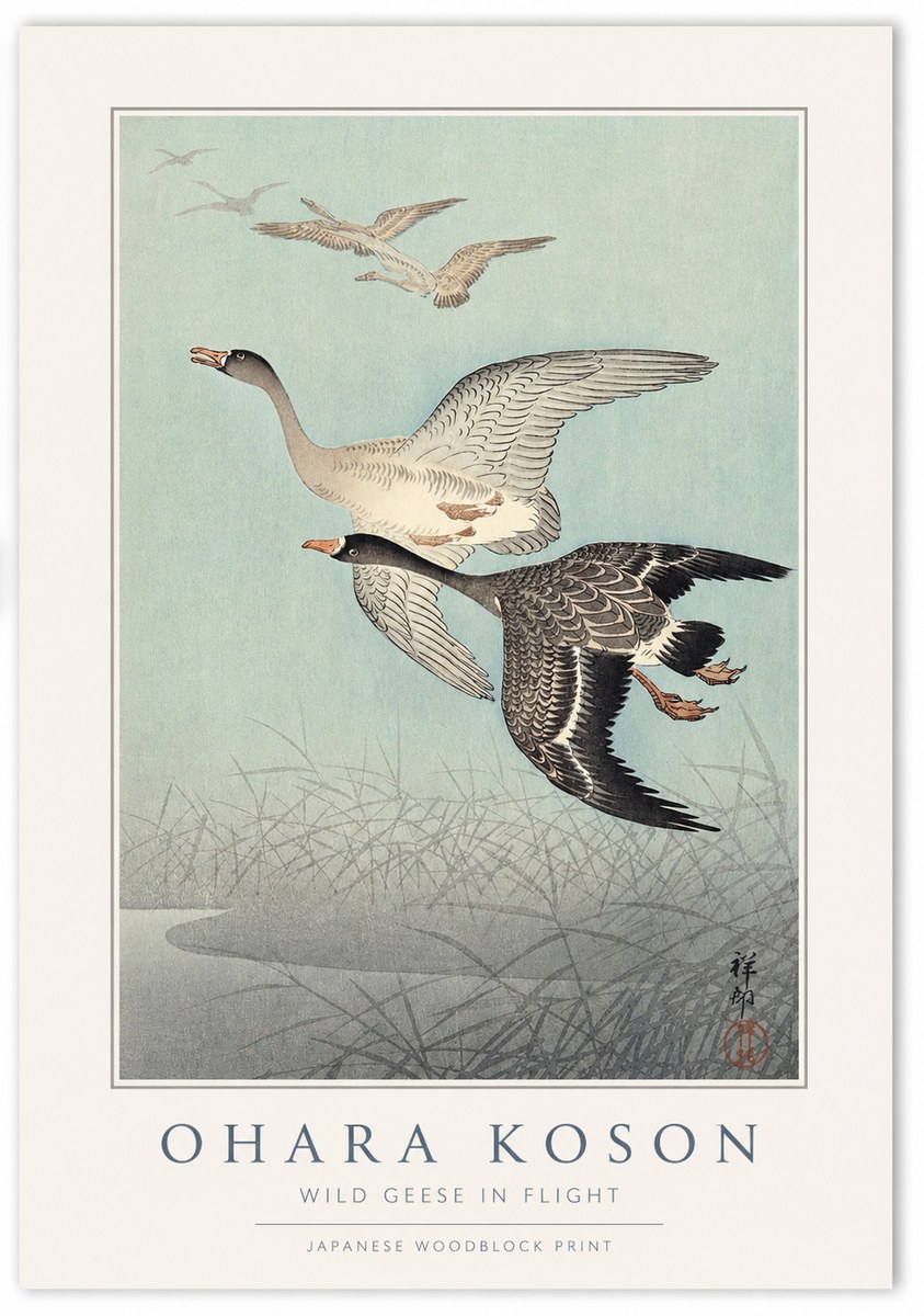 Ohara Koson Wild Geese in Flight II No1 - Plakát