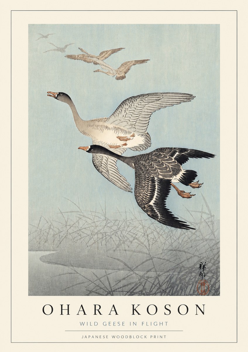Ohara Koson Wild Geese in Flight II No3 - Plakát