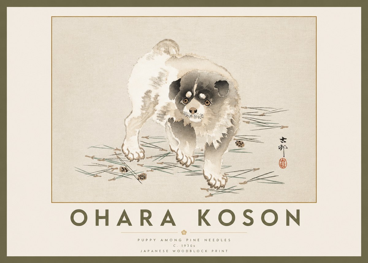 Ohara Koson Puppy Among Pine Needles No2 - Plakát