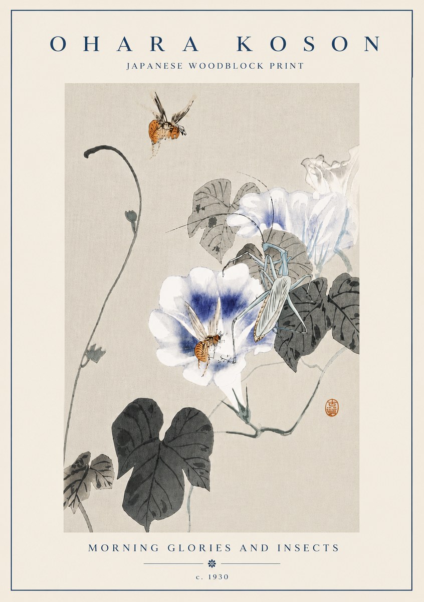 Ohara Koson Morning Glories and Insects No6 - Plakát