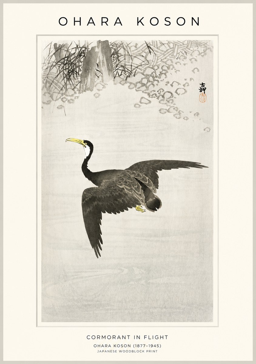 Ohara Koson Cormorant in Flight No1 - Plakát