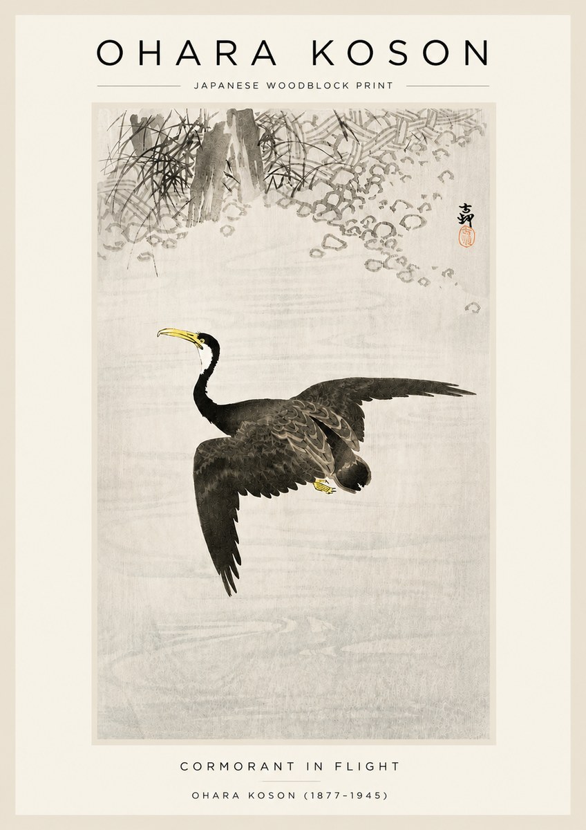 Ohara Koson Cormorant in Flight No3 - Plakát