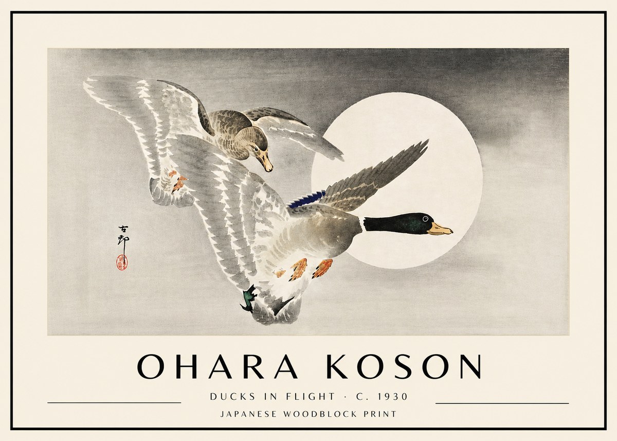 Ohara Koson Ducks in Flight No4 - Plakát