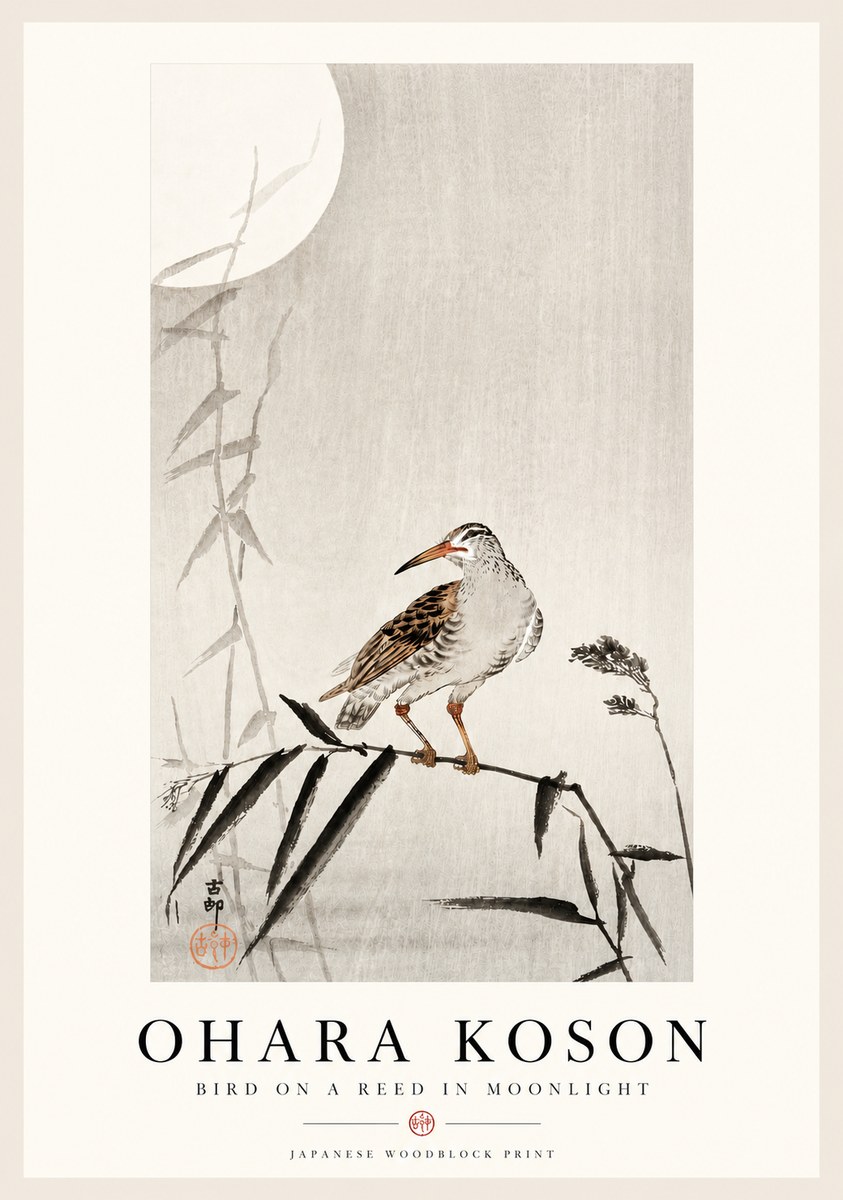 Ohara Koson Bird on a Reed in Moonlight No4 - Plakát