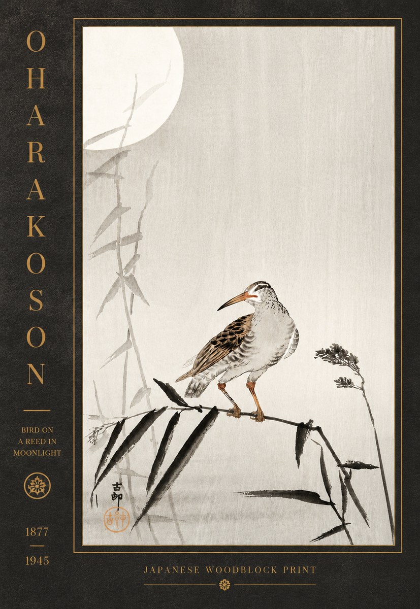 Ohara Koson Bird on a Reed in Moonlight No5 - Plakát
