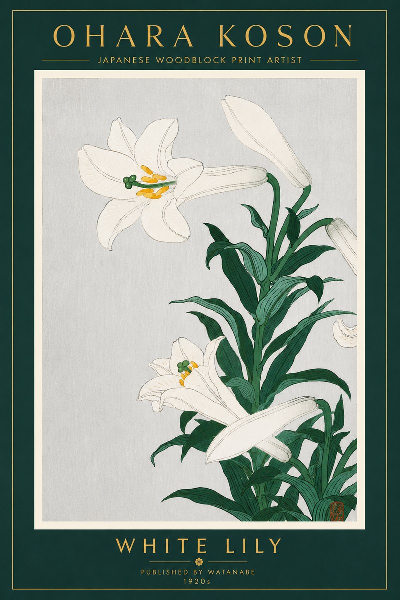 Ohara Koson White Lily No4 - Plakát