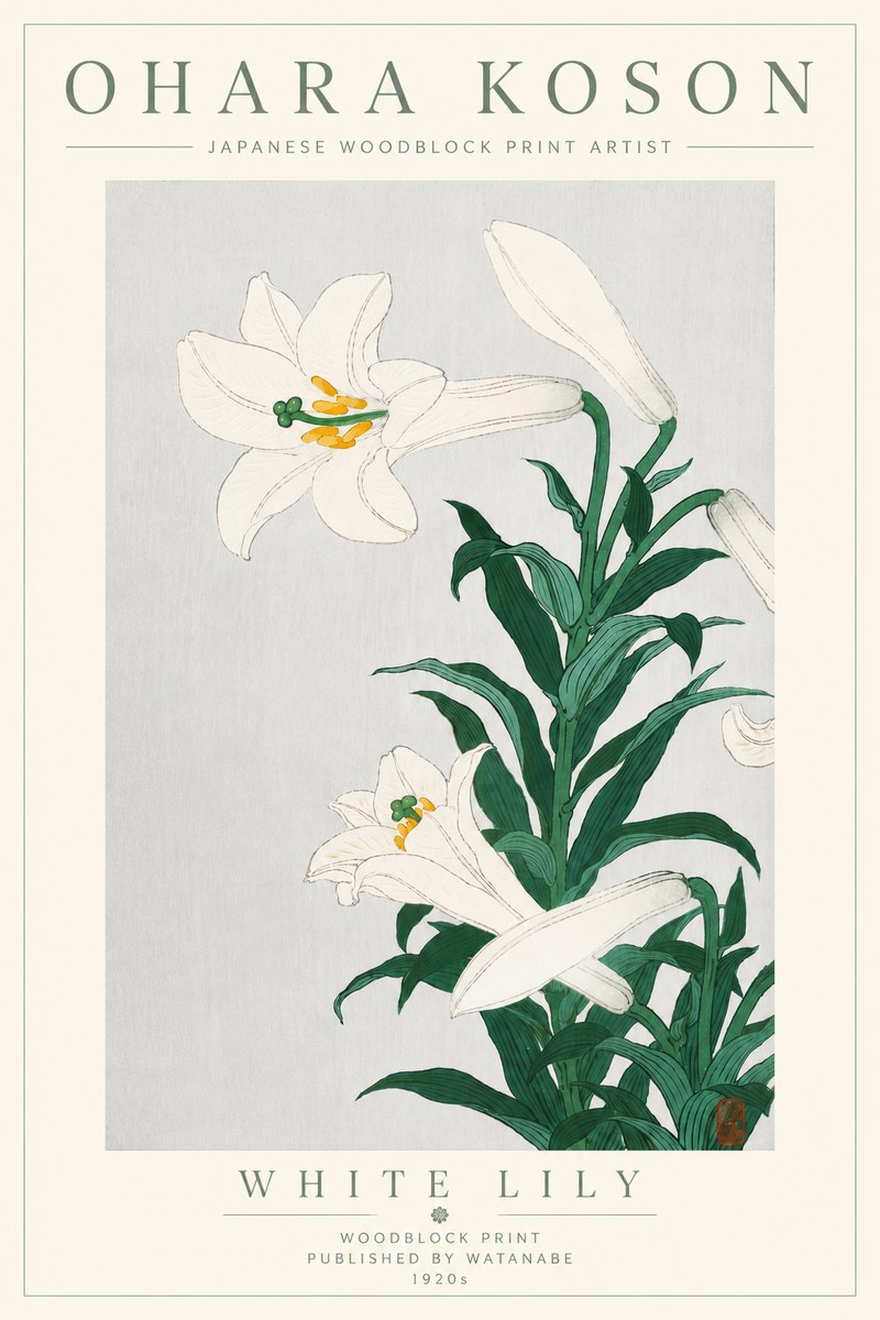 Ohara Koson White Lily No6 - Plakát