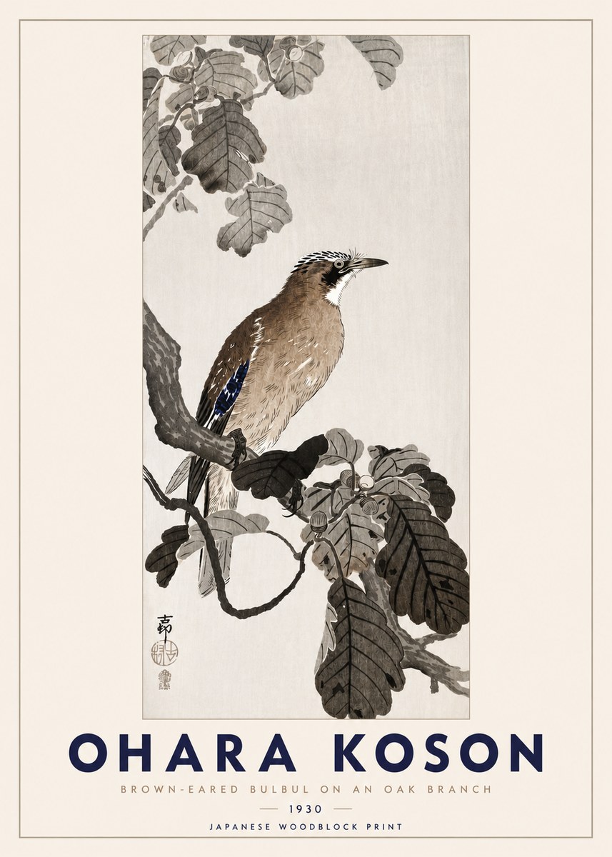 Ohara Koson Brown-eared Bulbul on an Oak Branch No3 - Plakát