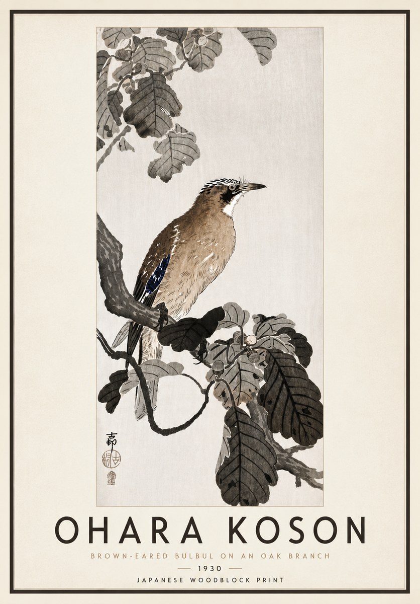 Ohara Koson Brown-eared Bulbul on an Oak Branch No4 - Plakát
