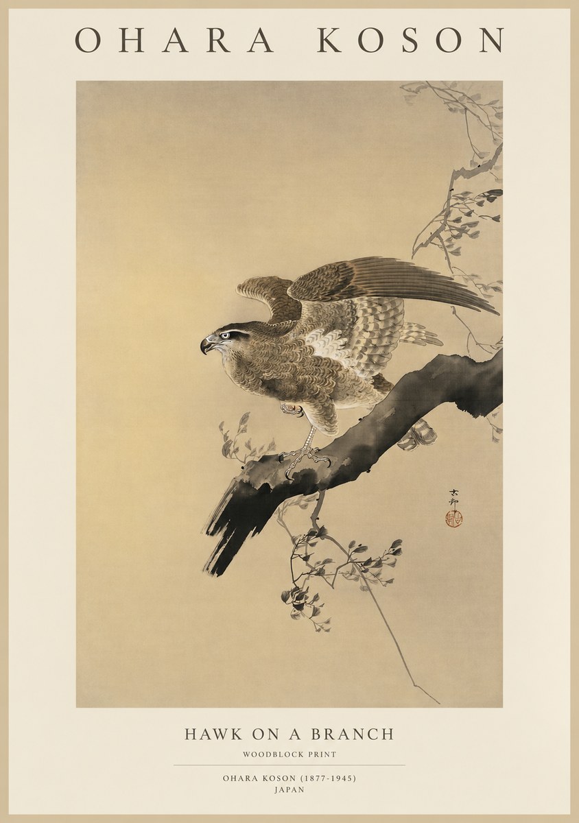 Ohara Koson Hawk on a Branch I No1 - Plakát