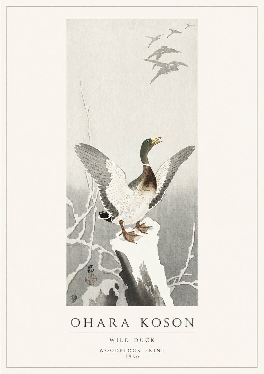 Ohara Koson Wild Duck No1 - Plakát