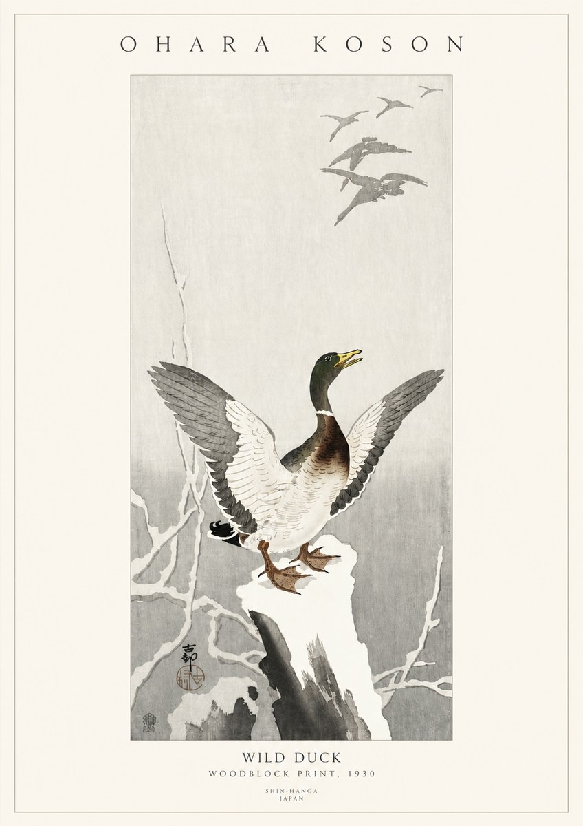 Ohara Koson Wild Duck No3 - Plakát