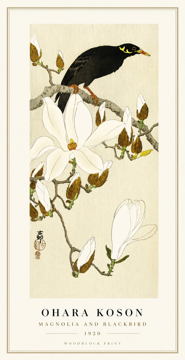 Ohara Koson Magnolia and Blackbird No1 - Plakát