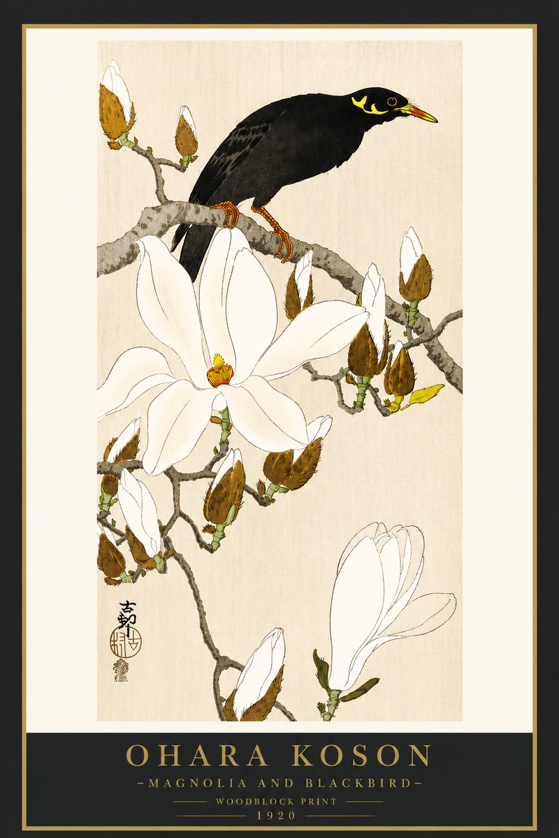 Ohara Koson Magnolia and Blackbird No4 - Plakát