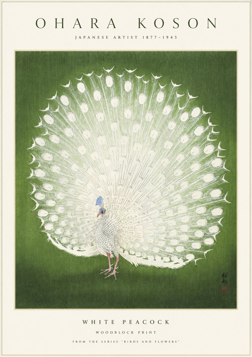 Ohara Koson White Peacock No1 - Plakát