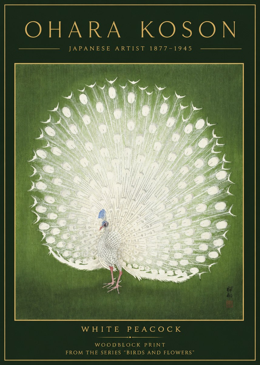 Ohara Koson White Peacock No2 - Plakát