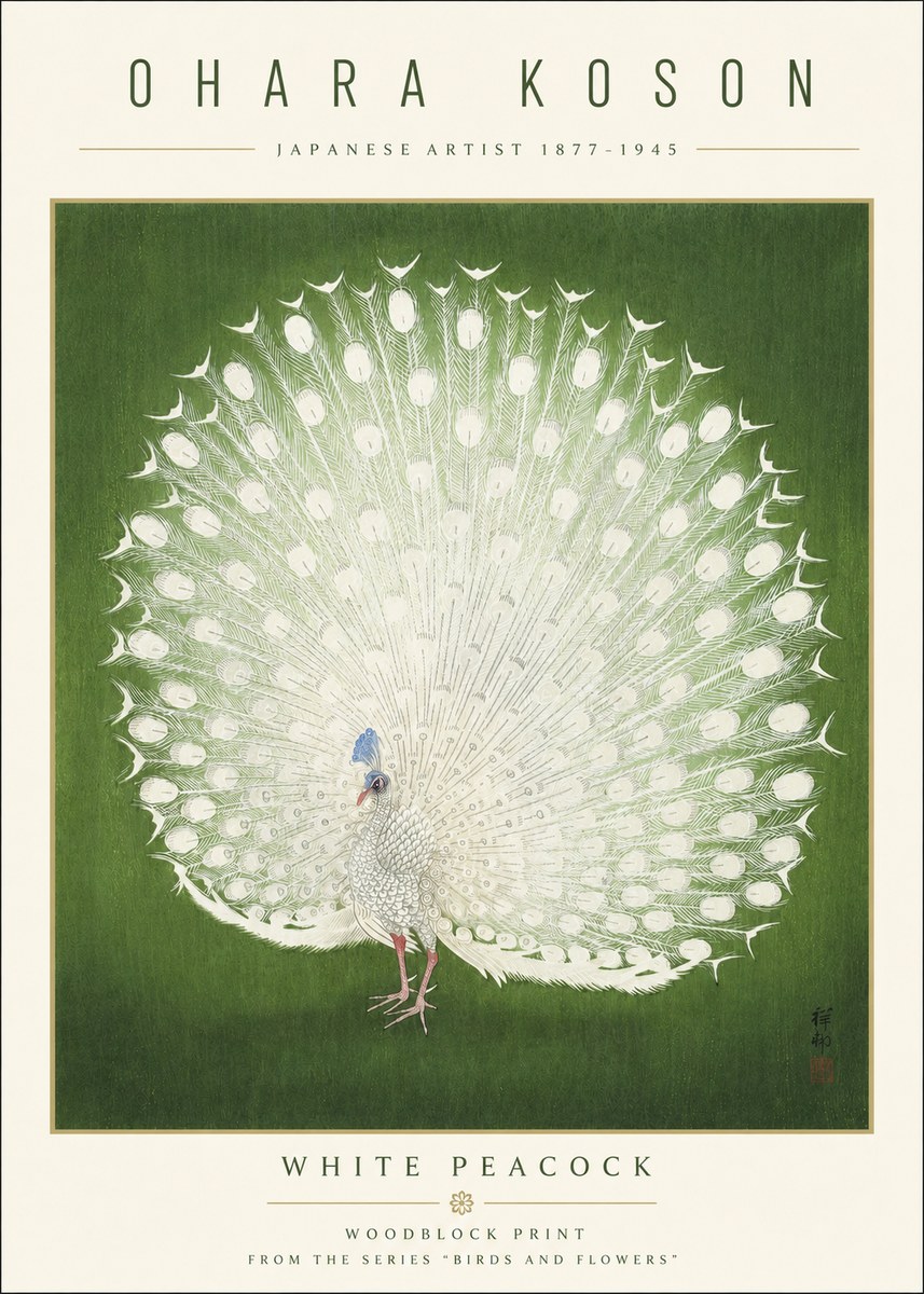 Ohara Koson White Peacock No3 - Plakát