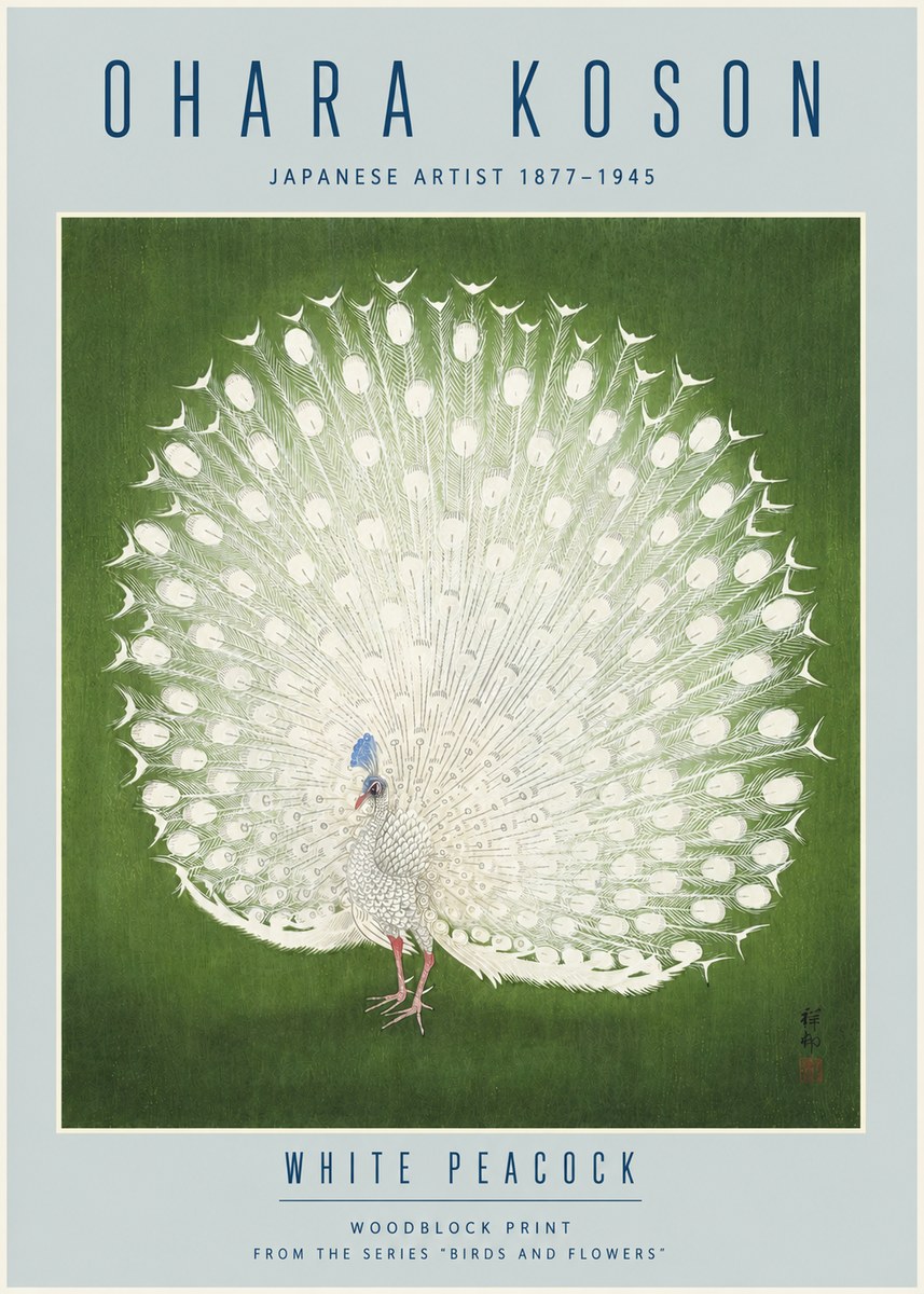 Ohara Koson White Peacock No4 - Plakát