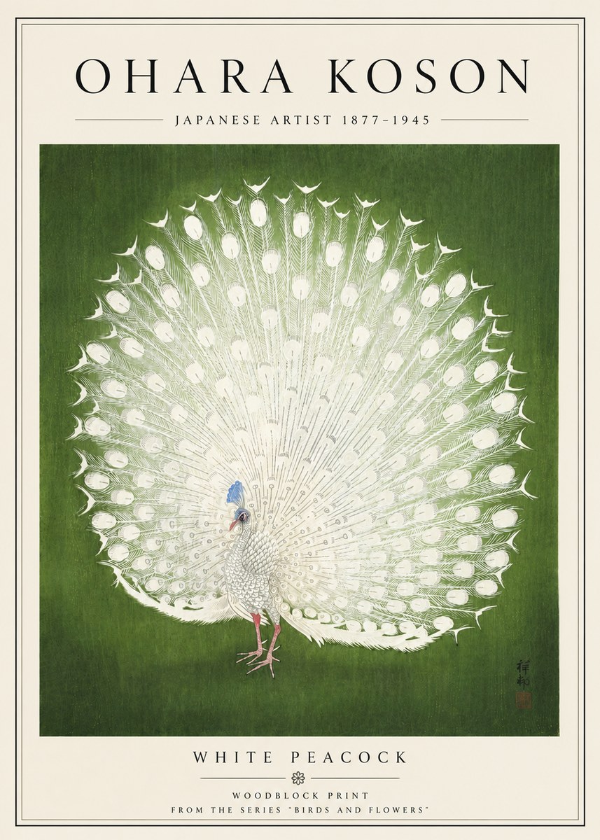 Ohara Koson White Peacock No5 - Plakát