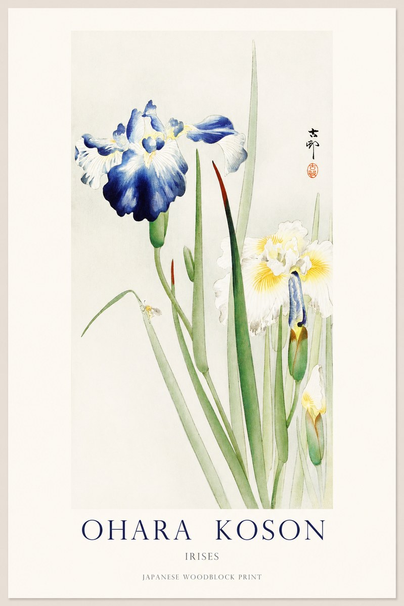 Ohara Koson Irises II No1 - Plakát