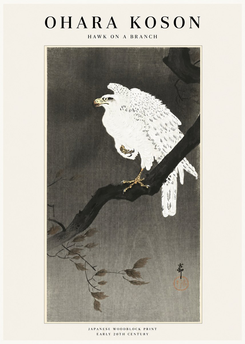 Ohara Koson Hawk on a Branch II No1 - Plakát