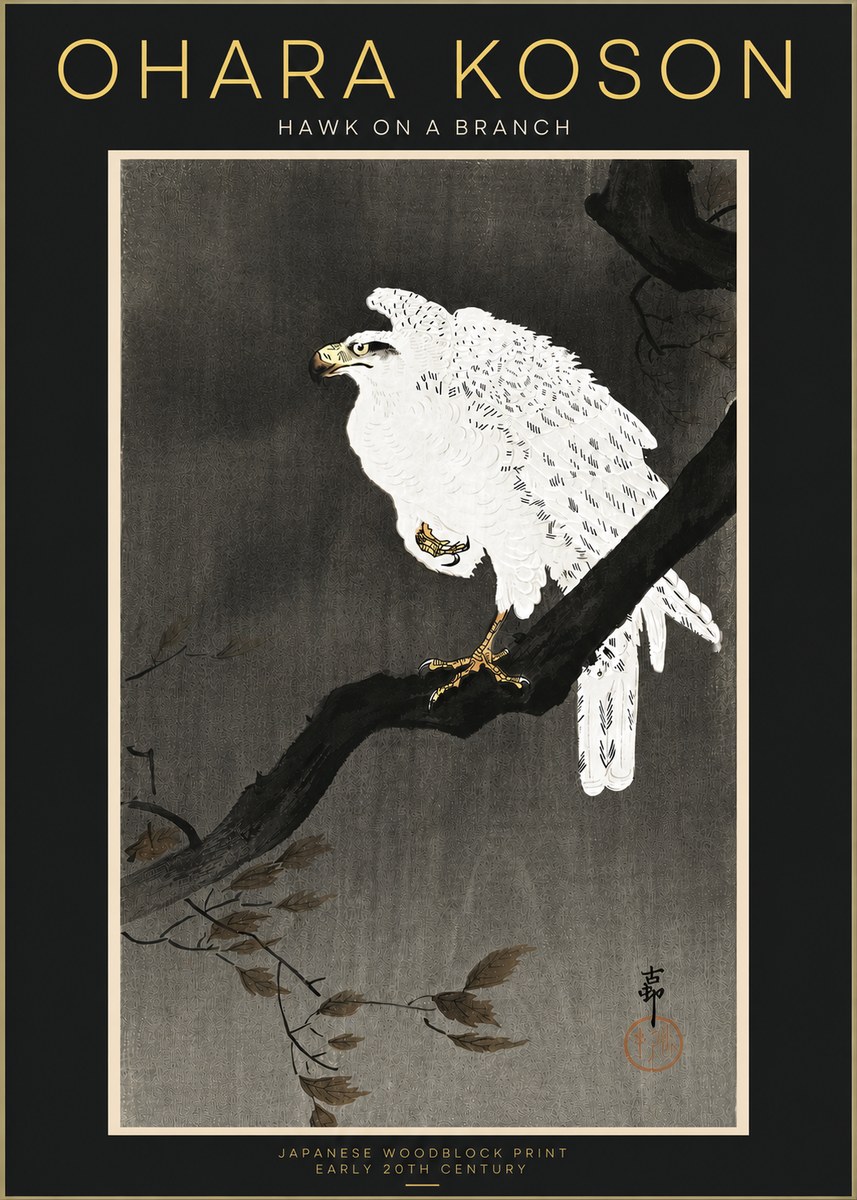 Ohara Koson Hawk on a Branch II No4 - Plakát