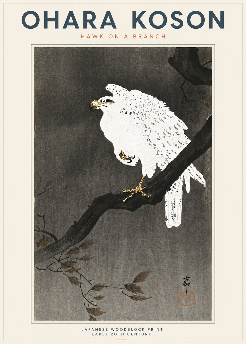 Ohara Koson Hawk on a Branch II No5 - Plakát