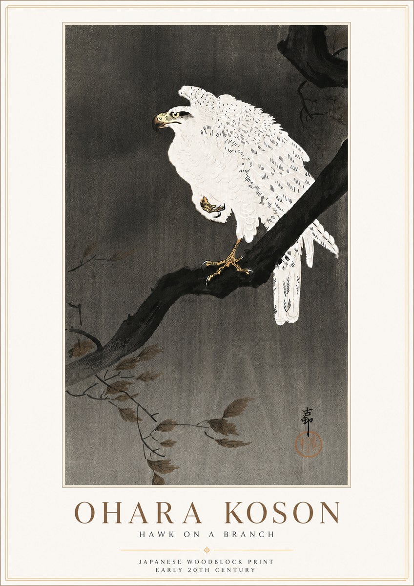Ohara Koson Hawk on a Branch II No6 - Plakát